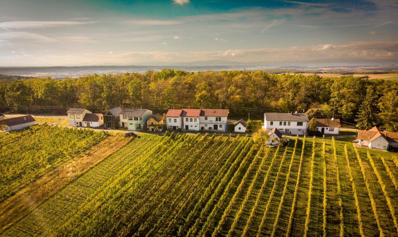 Ferienhaus Szapary II Eisenberg an der Pinka Zewnętrze zdjęcie