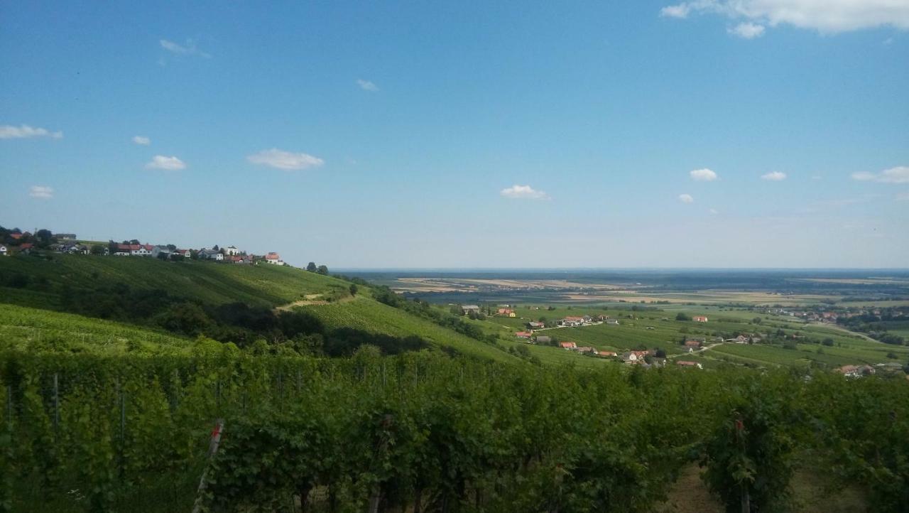 Ferienhaus Szapary II Eisenberg an der Pinka Zewnętrze zdjęcie