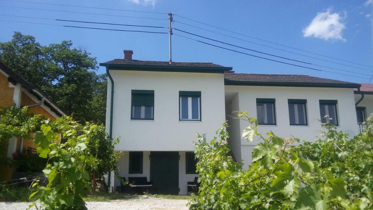 Ferienhaus Szapary II Eisenberg an der Pinka Zewnętrze zdjęcie