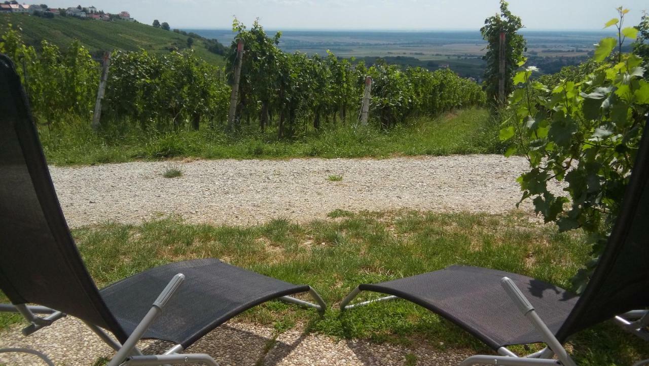 Ferienhaus Szapary II Eisenberg an der Pinka Zewnętrze zdjęcie