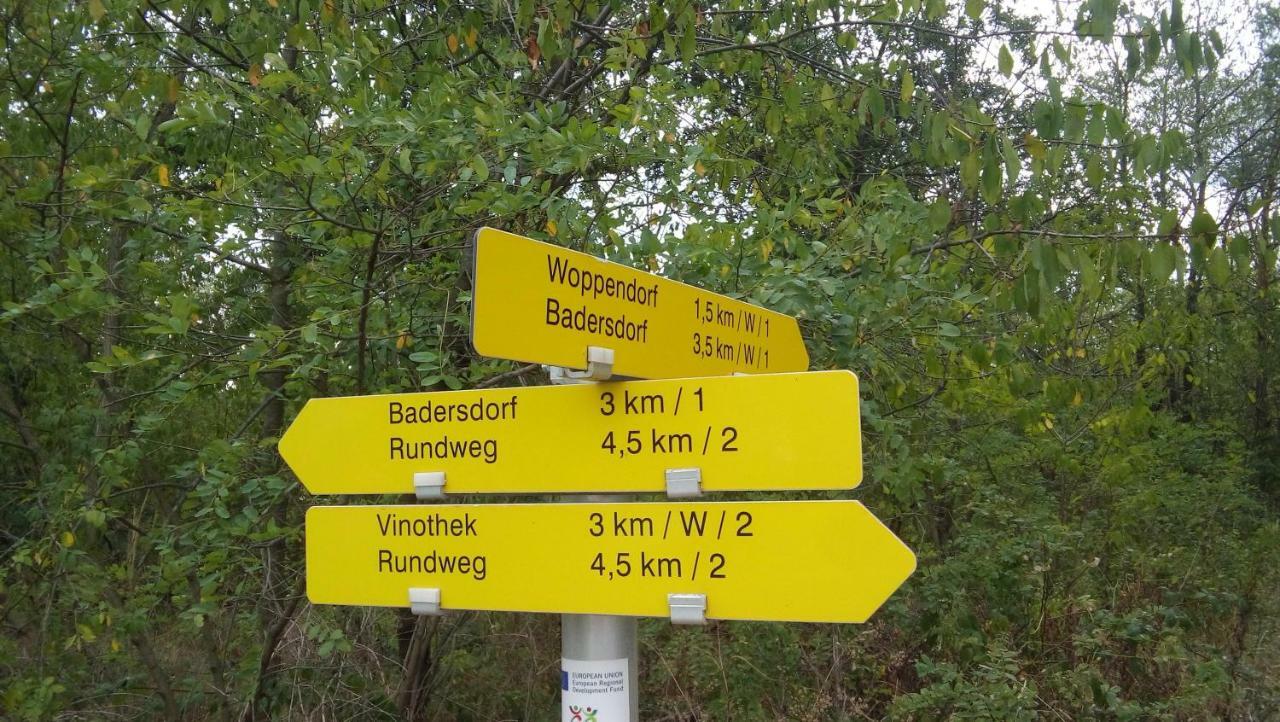 Ferienhaus Szapary II Eisenberg an der Pinka Zewnętrze zdjęcie