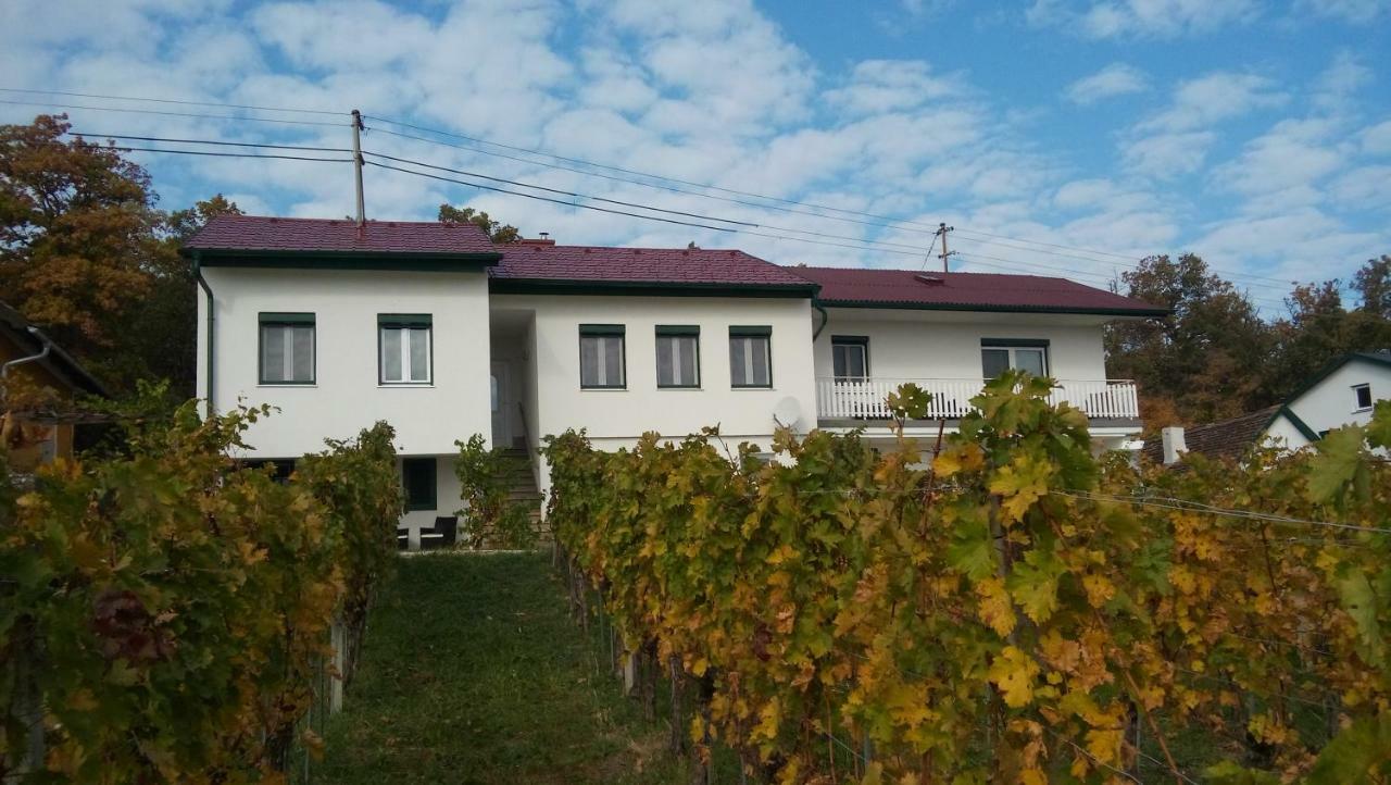Ferienhaus Szapary II Eisenberg an der Pinka Zewnętrze zdjęcie